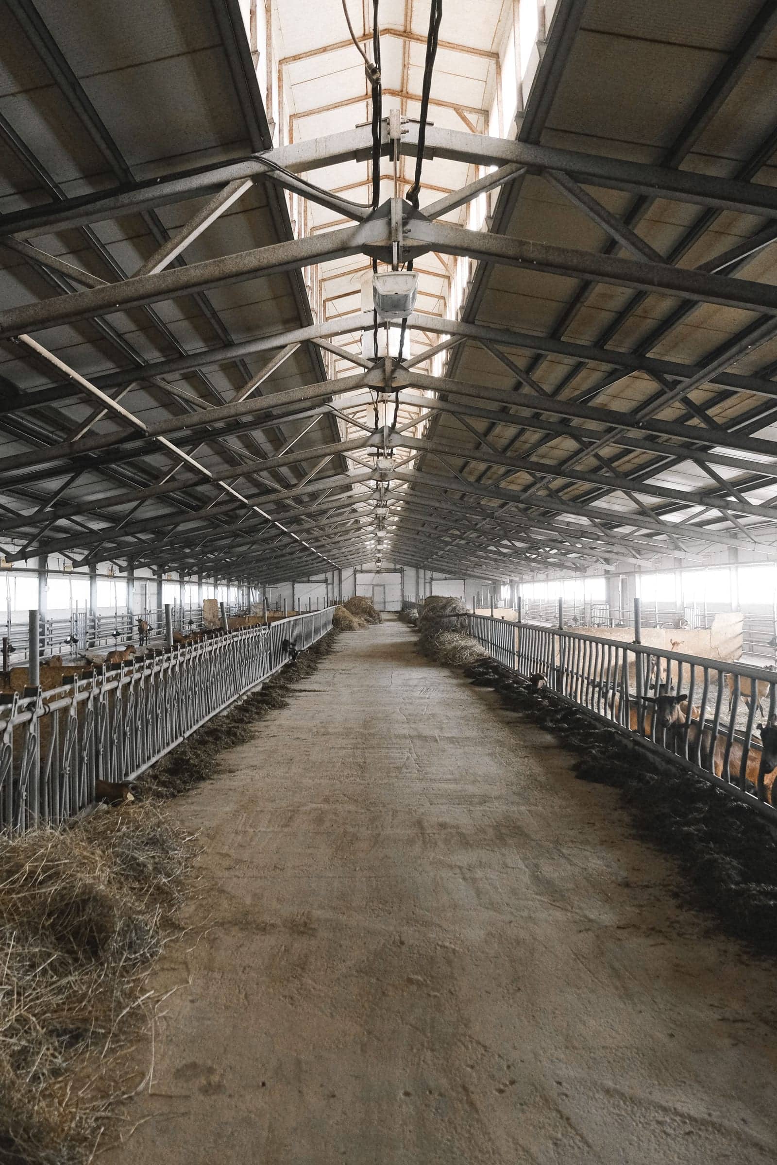 The finished interior of a pole barn with a metal roof and open stall bays